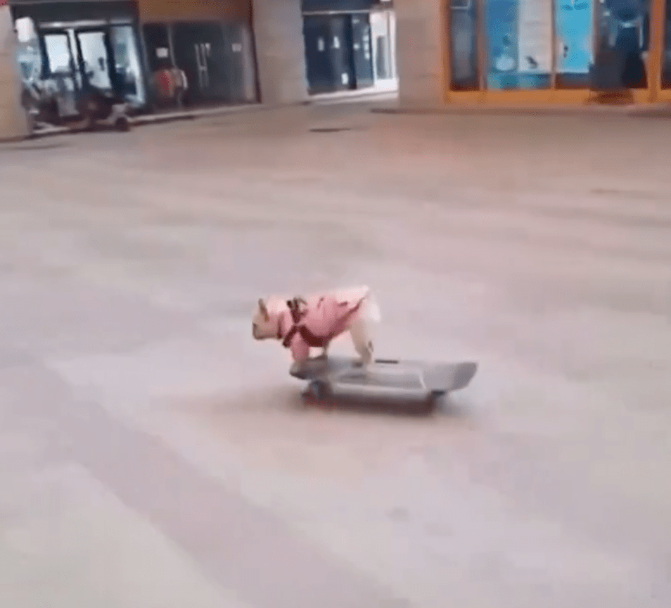 He was a sk8r&nbsp;b0i